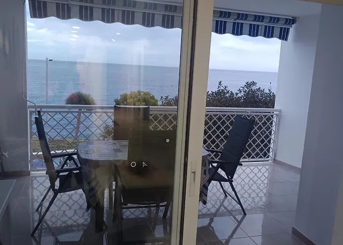 Delfin * Almuñécar